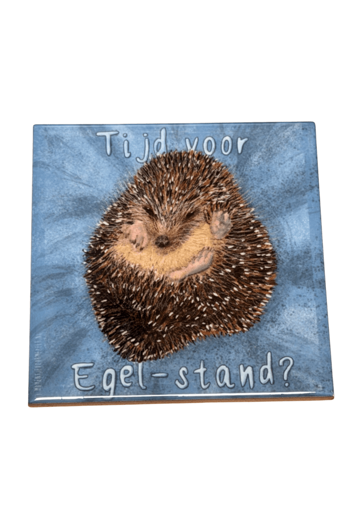 foto van de tegel met een egel en quote: tijd voor de egelstand